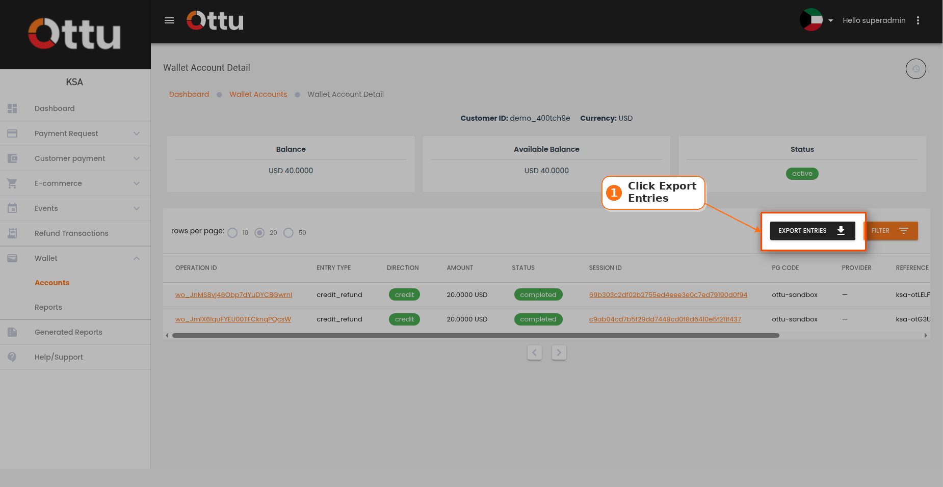 Cursor pointing at the Export Entries button on the account detail page